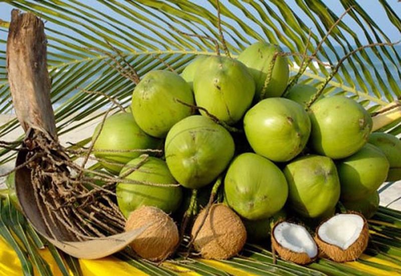 Trái dừa có tác dụng gì?