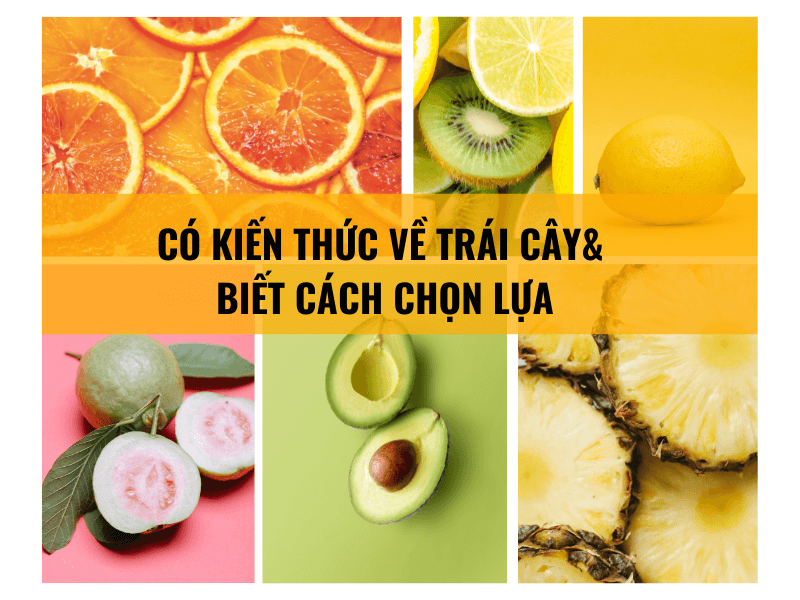 Tìm nguồn hàng sỉ trái cây