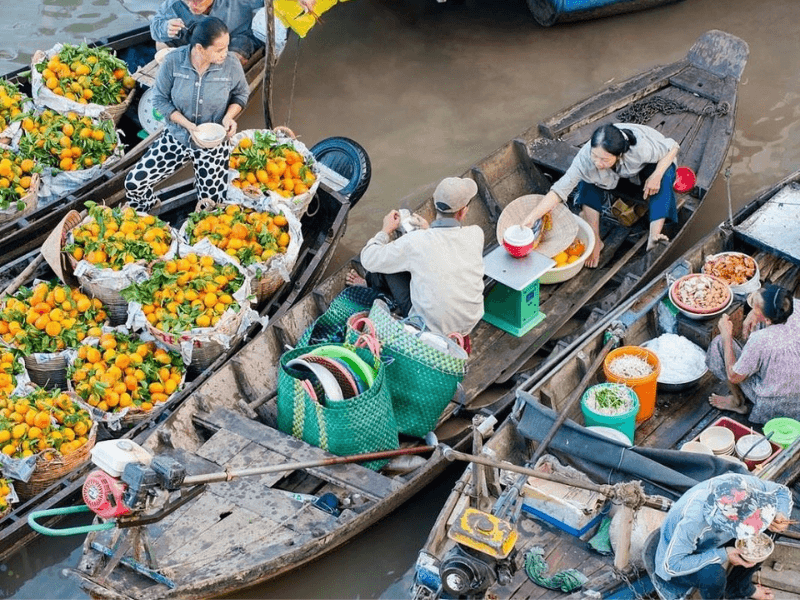 Tìm nguồn hàng sỉ trái cây