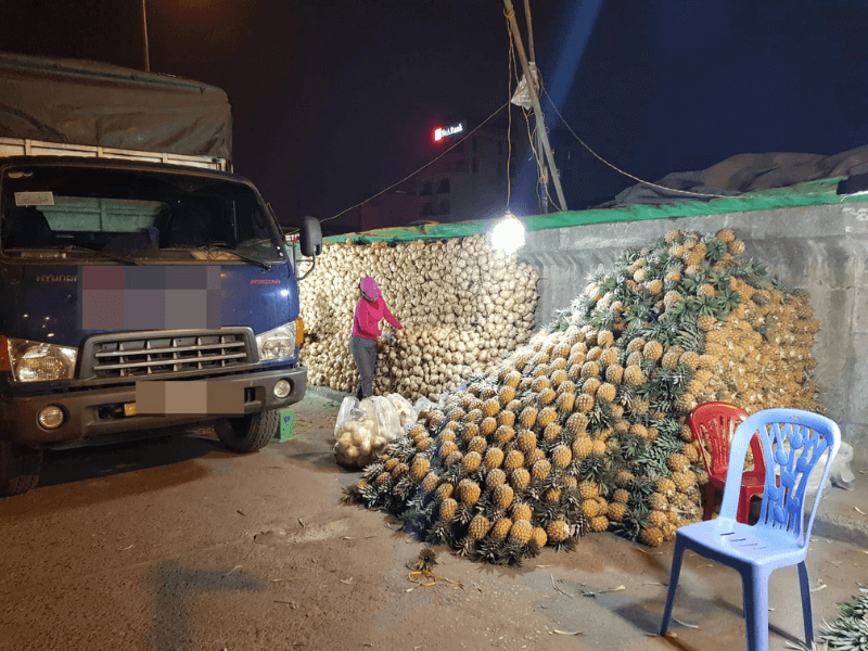 Tìm nguồn hàng sỉ trái cây