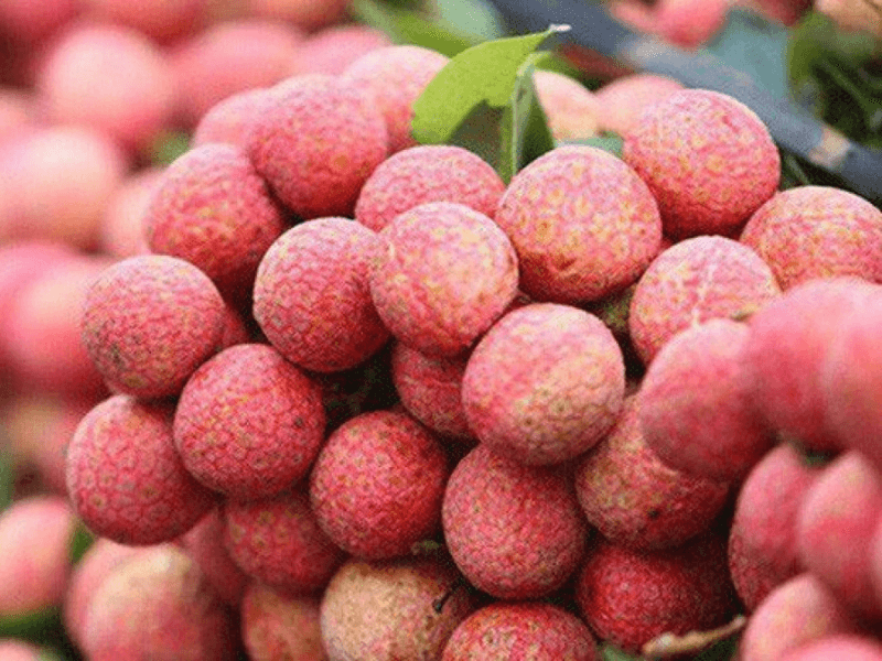 Tìm nguồn hàng sỉ trái cây